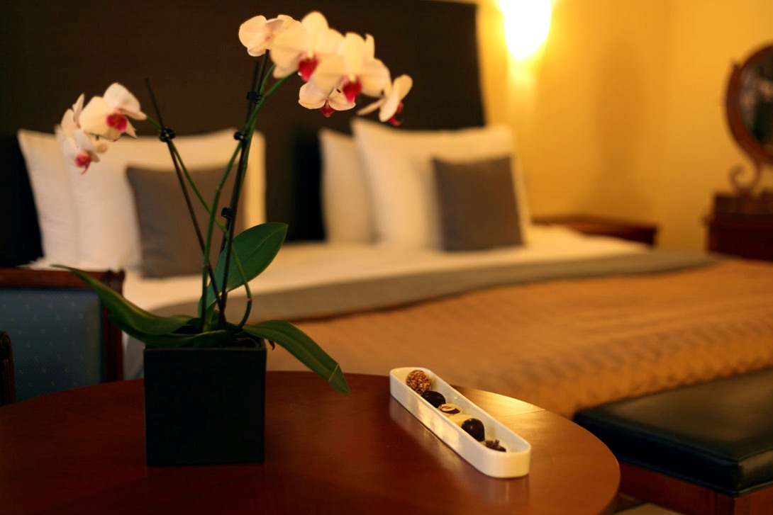 An orchid plant in a black pot placed on a table in a hotel room with a bed in the background. - International Hotel School