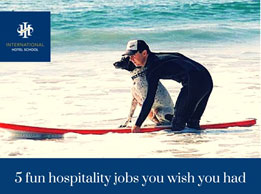 Individual in wetsuit surfing on a board with a dog on the beach. - International Hotel School