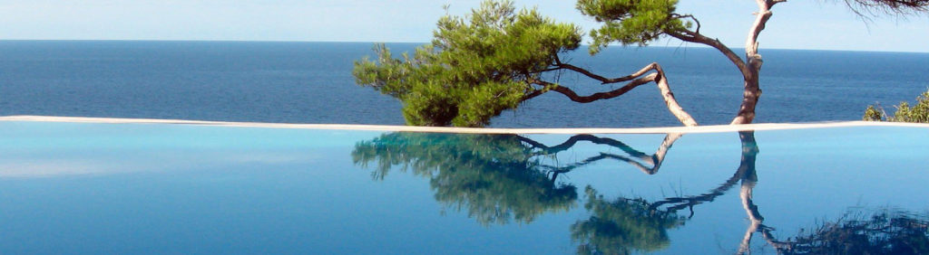 Infinity pool with clear water reflecting a tree and the ocean in the background. - International Hotel School