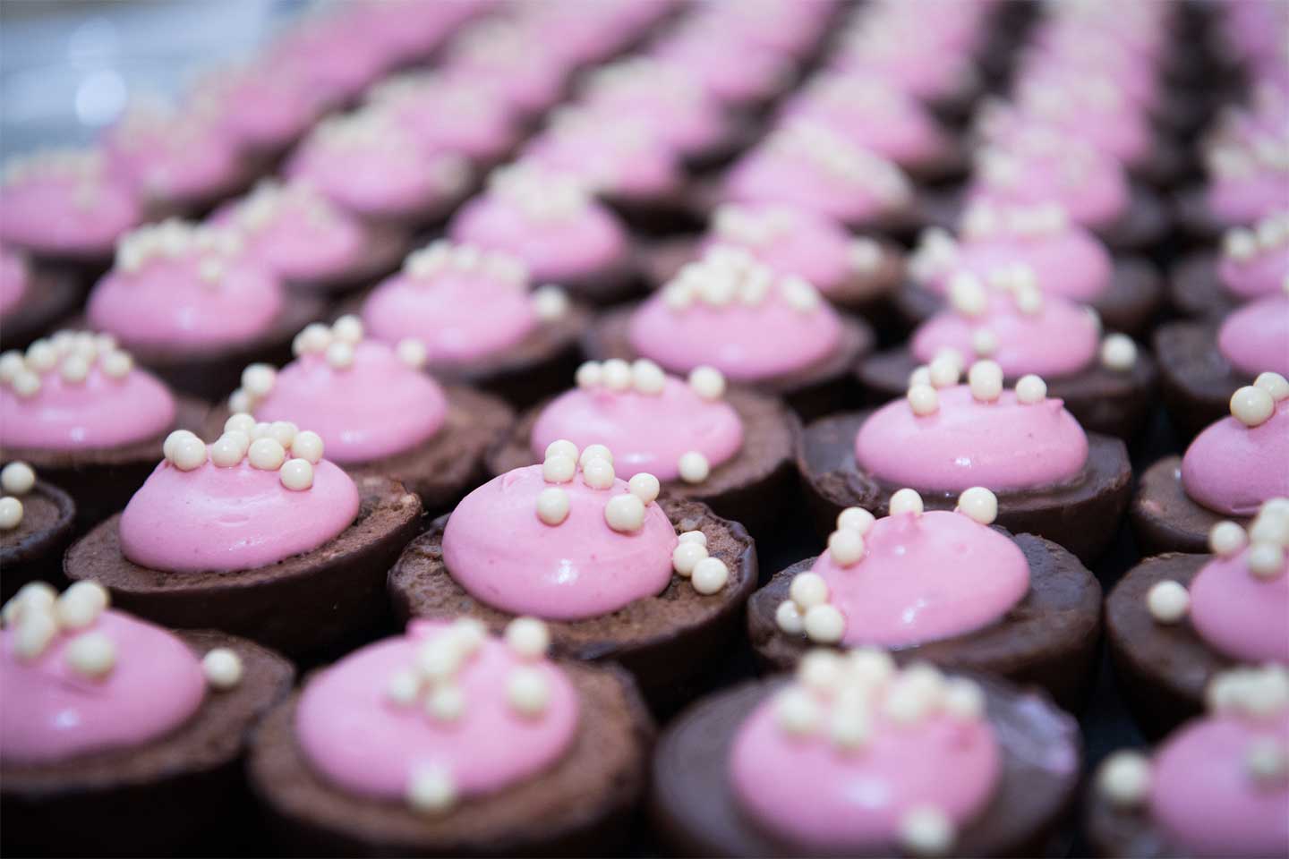 A Chocolate Calls it Ruby 1 Ruby Chocolate Cupcakes