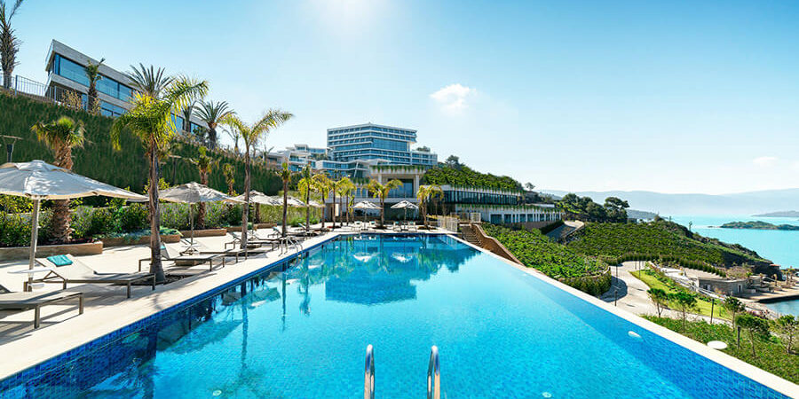 Swimming pool at a resort with palm trees and a clear blue sky in the background. - International Hotel School