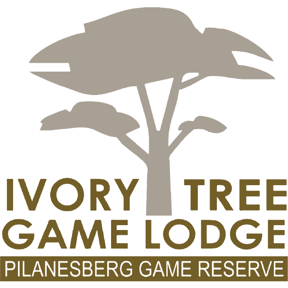 Ivory Tree Game Lodge Partners International Hotel School